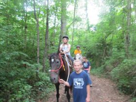 IMG_4176.JPG